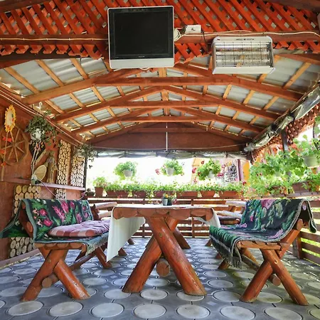 Casa Ion
