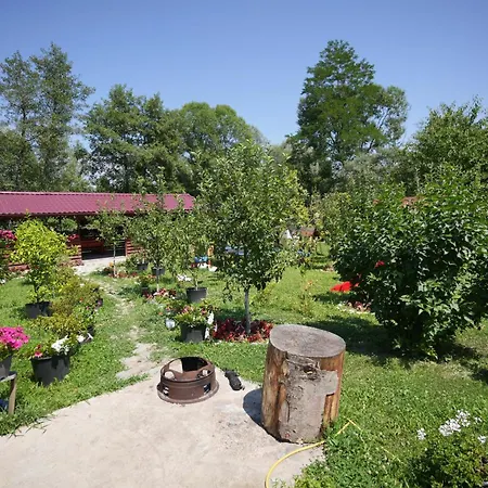 Casa Ion