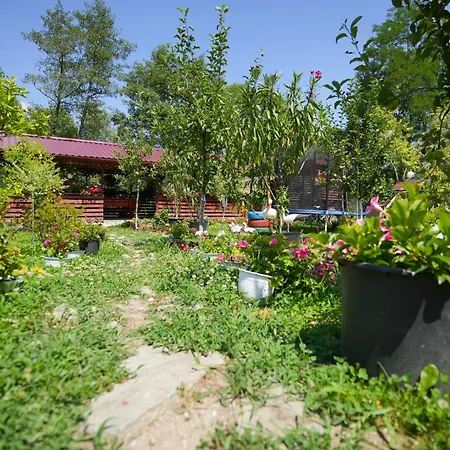 Casa Ion 民宿 *