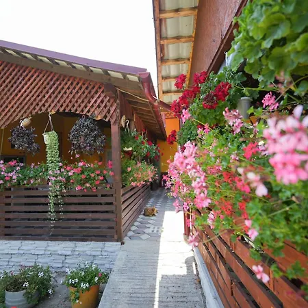 Casa Ion