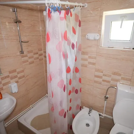 Casa Ion *